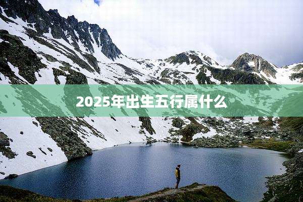 2025年出生五行属什么