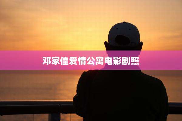 邓家佳爱情公寓电影剧照