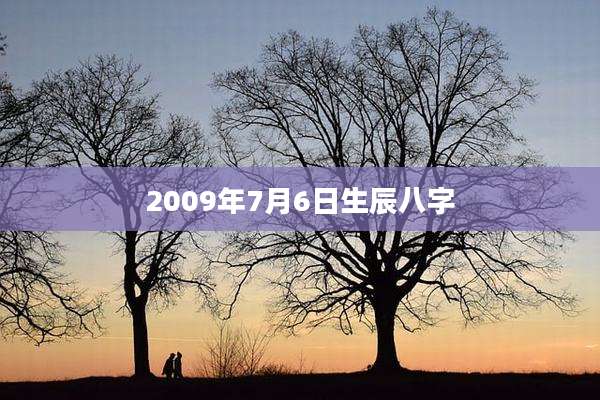 2009年7月6日生辰八字