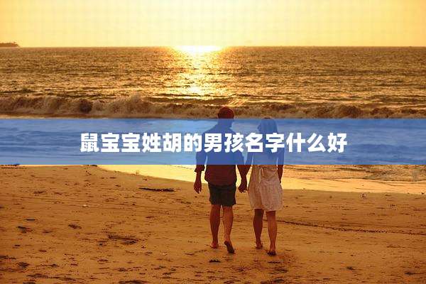 鼠宝宝姓胡的男孩名字什么好