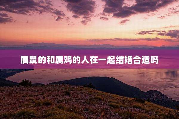 属鼠的和属鸡的人在一起结婚合适吗
