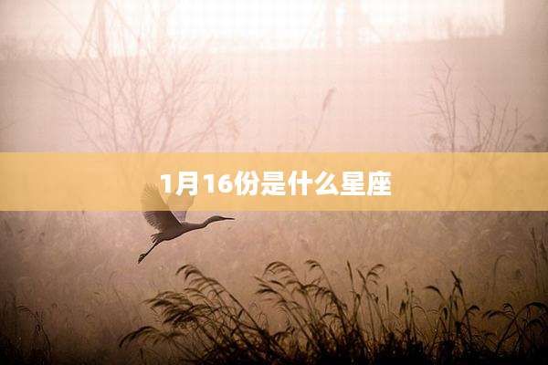 1月16份是什么星座