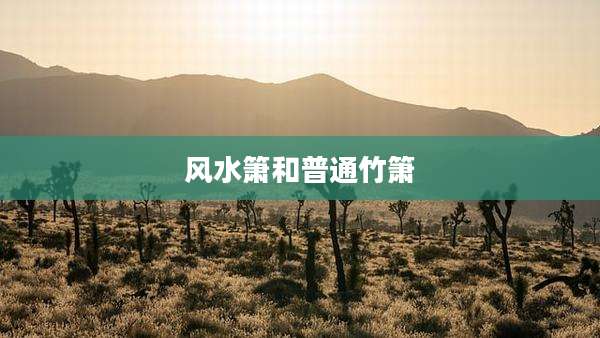 风水箫和普通竹箫