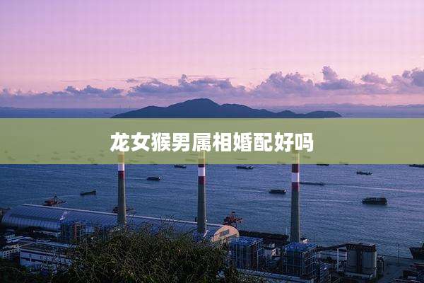 龙女猴男属相婚配好吗