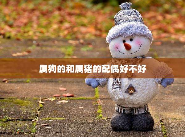 属狗的和属猪的配偶好不好