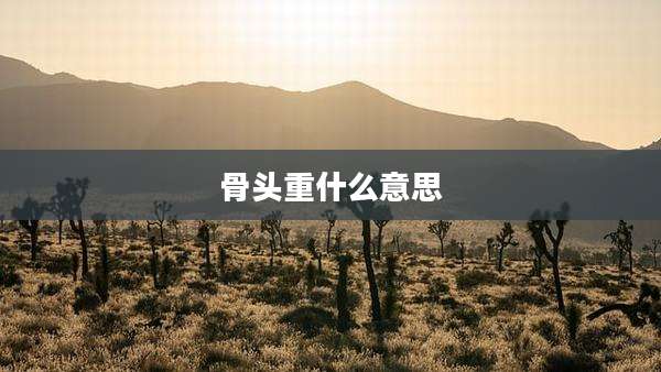骨头重什么意思