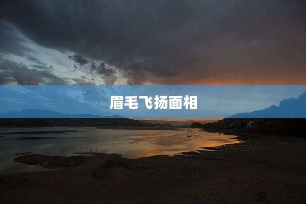 眉毛飞扬面相