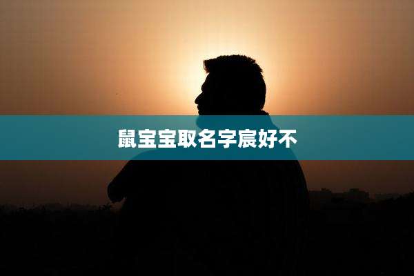 鼠宝宝取名字宸好不