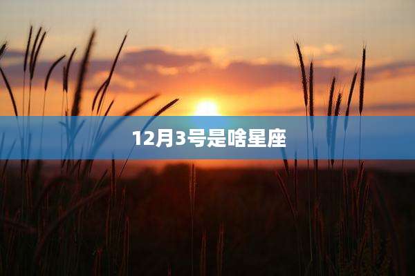 12月3号是啥星座