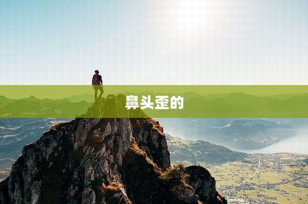 鼻头歪的