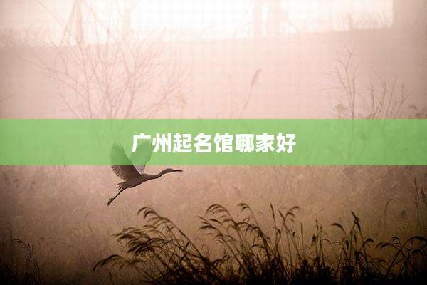 广州起名馆哪家好