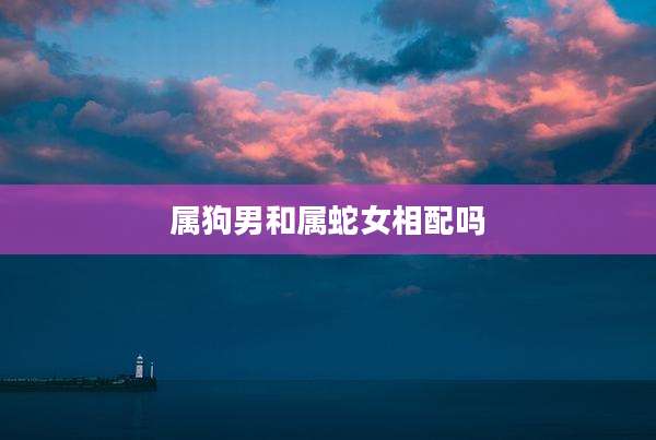 属狗男和属蛇女相配吗