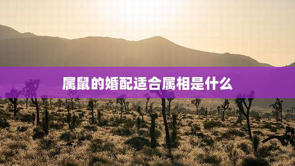 属鼠的婚配适合属相是什么