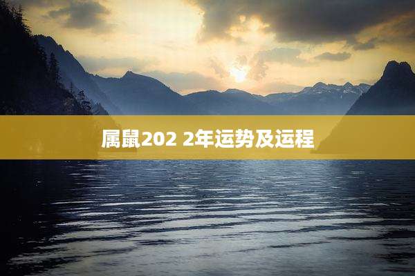 属鼠202 2年运势及运程
