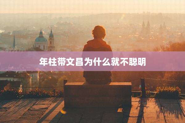 年柱带文昌为什么就不聪明