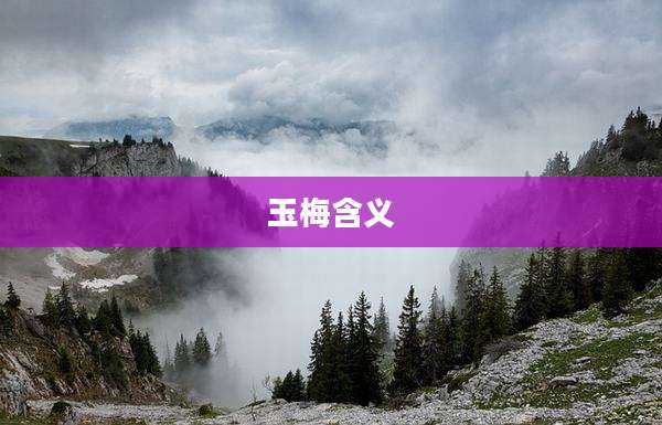 玉梅含义