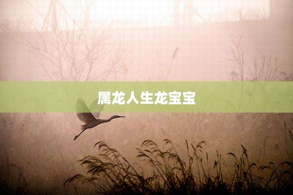属龙人生龙宝宝