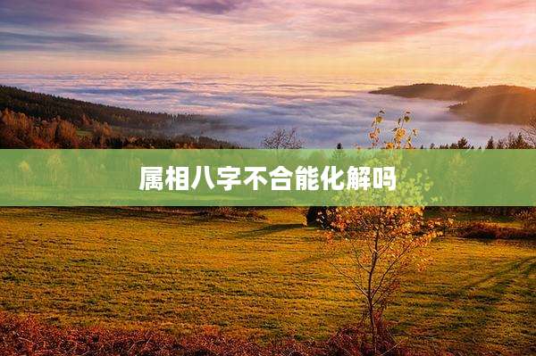 属相八字不合能化解吗