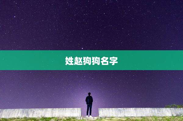 姓赵狗狗名字