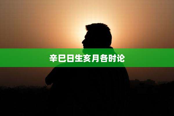 辛巳日生亥月各时论