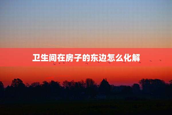 卫生间在房子的东边怎么化解