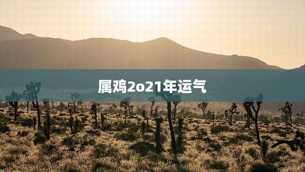 属鸡2o21年运气