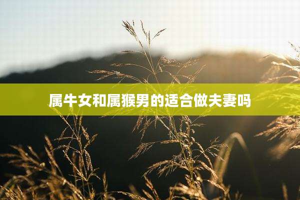属牛女和属猴男的适合做夫妻吗