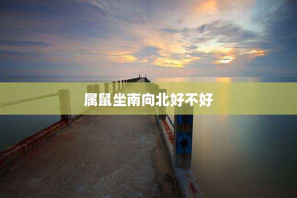 属鼠坐南向北好不好