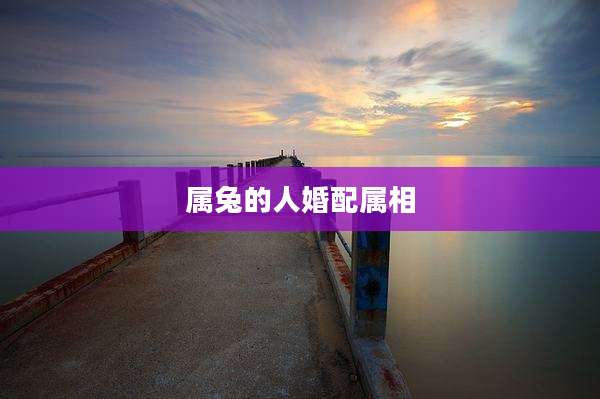 属兔的人婚配属相