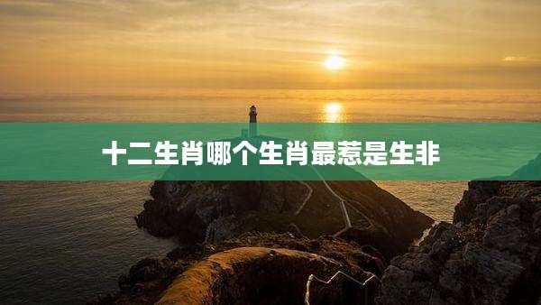十二生肖哪个生肖最惹是生非