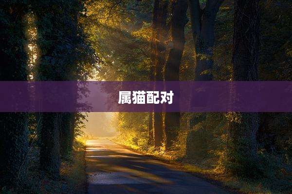 属猫配对