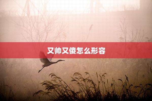 又帅又傻怎么形容
