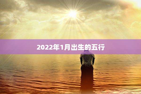 2022年1月出生的五行