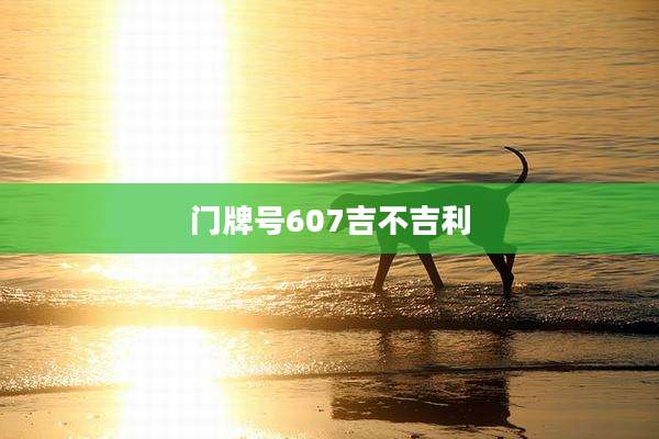 门牌号607吉不吉利