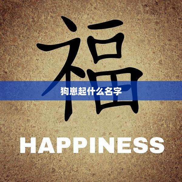 狗崽起什么名字