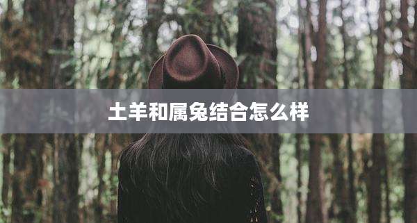 土羊和属兔结合怎么样