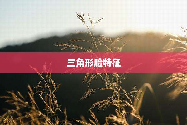 三角形脸特征