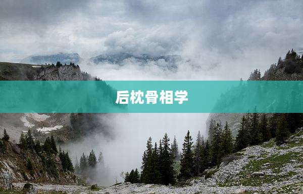 后枕骨相学