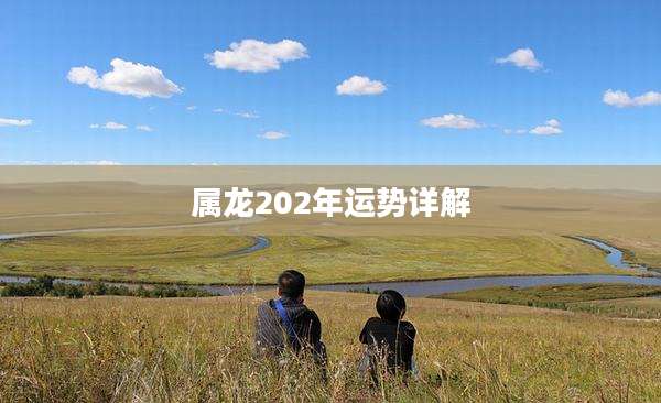属龙202年运势详解