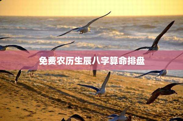 免费农历生辰八字算命排盘