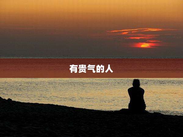 有贵气的人