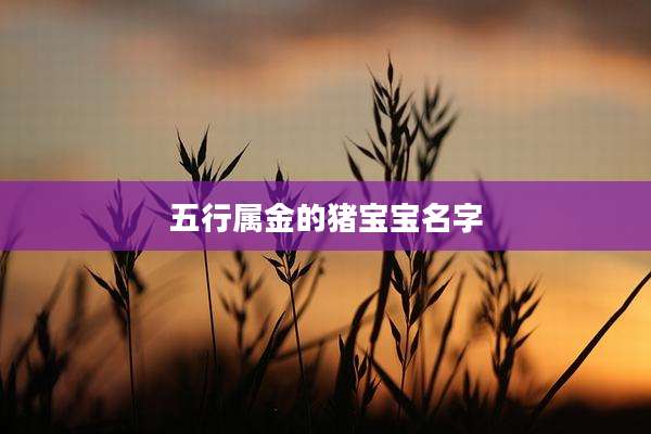 五行属金的猪宝宝名字