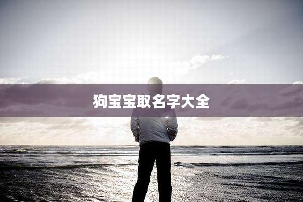狗宝宝取名字大全