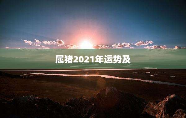 属猪2021年运势及