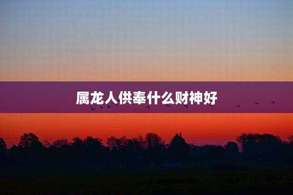 属龙人供奉什么财神好