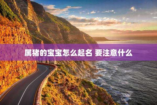 属猪的宝宝怎么起名 要注意什么