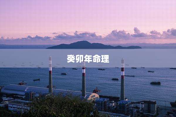 癸卯年命理