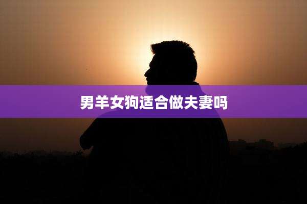 男羊女狗适合做夫妻吗