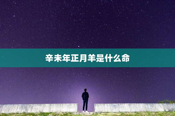 辛未年正月羊是什么命