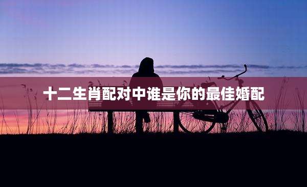十二生肖配对中谁是你的最佳婚配